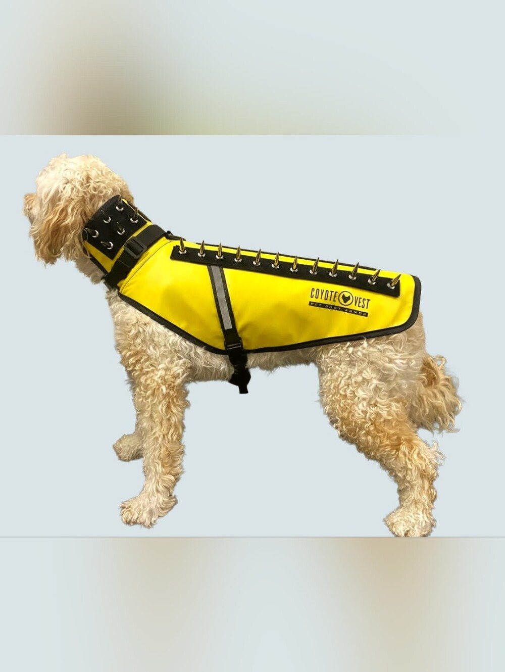 Coyote Vest Dogs Large